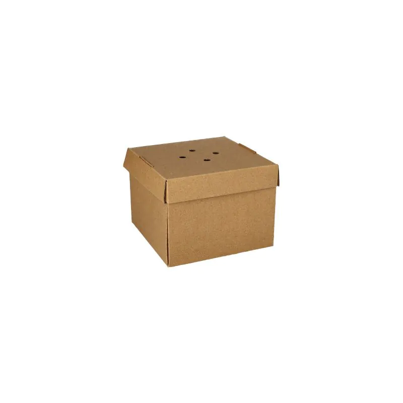 Burgerboxen, Pappe "pure" 10 x 13 x 13 cm faltbar, klein - Bild 3