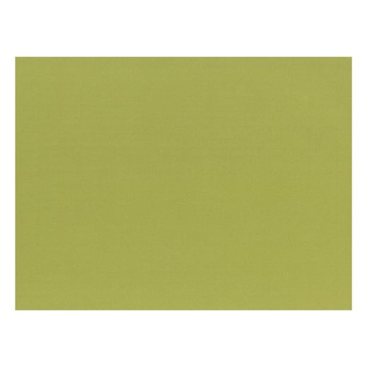 Pogrinjki, papir 30 cm x 40 cm olivno zelena 1