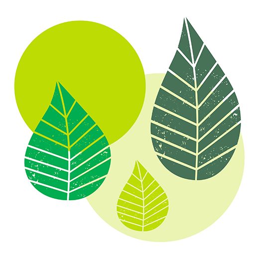 Serviete, 3-slojne zložene 1/4 40 cm x 40 cm zelena "Graphic Leaves" 1
