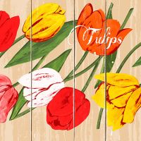 Serviete, 3-slojne zložene 1/4 33 cm x 33 cm "Blooming Tulips"