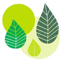 Serviete, 3-slojne zložene 1/4 40 cm x 40 cm zelena "Graphic Leaves"