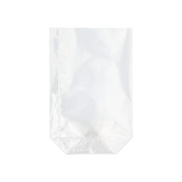 Vrečke, PP 15 cm x 10 cm x 3,5 cm prozorna
