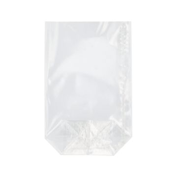 Vrečke, PP 17,3 cm x 11,5 cm x 4 cm prozorna