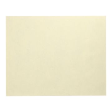 Pogrinjki, kot blago, flis "soft selection" 30 cm x 40 cm krem